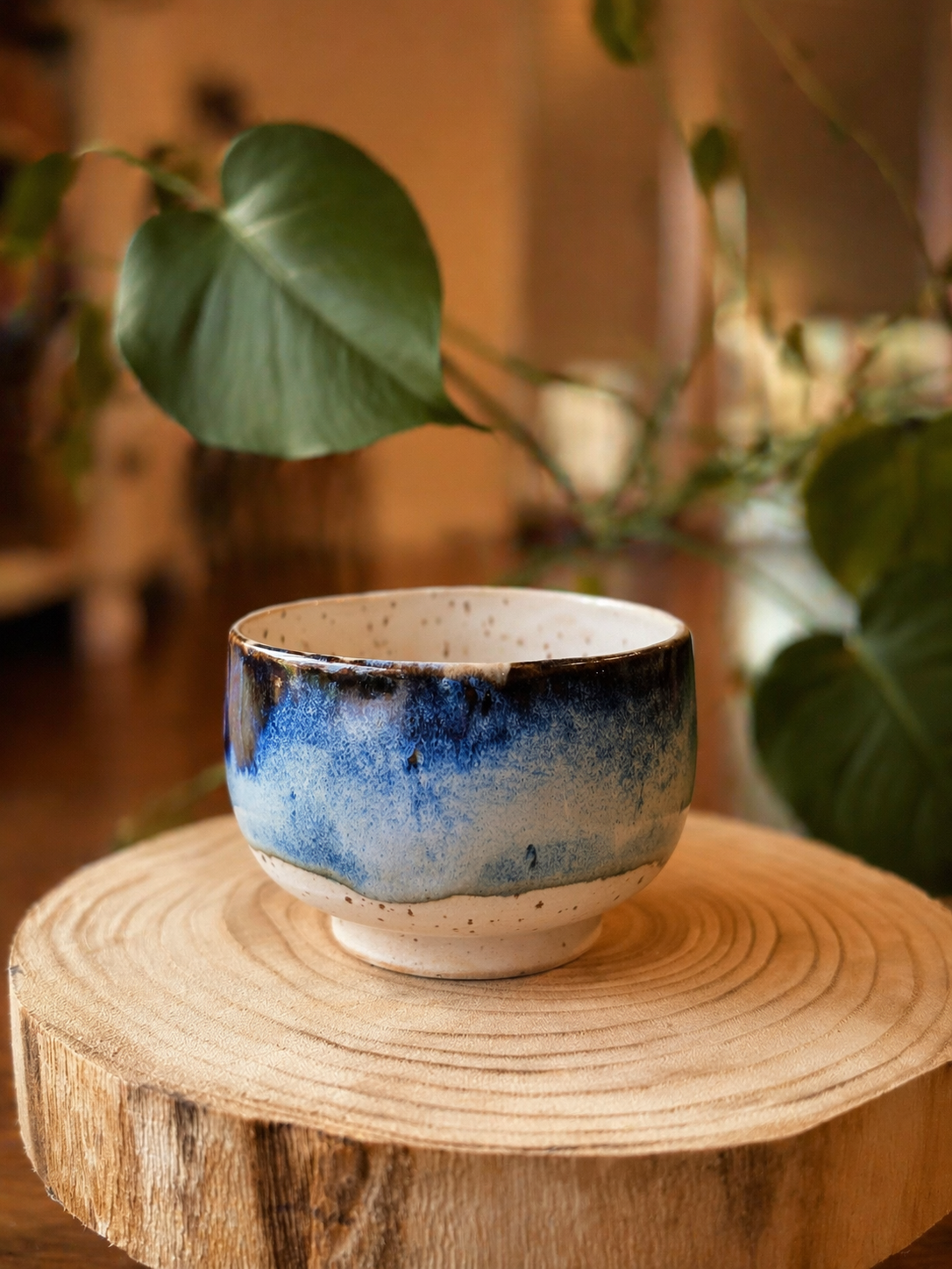 Modrobílá keramická miska na dřevěné podložce doma